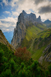 Roger A Pugh, Roger A Pugh Photography