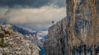 Roger A Pugh, Roger A Pugh Photography