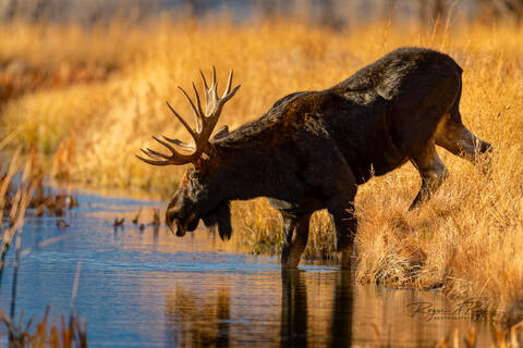 Teton National Park