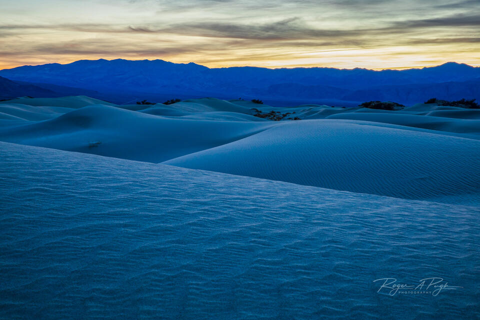 Mesquite by Night print