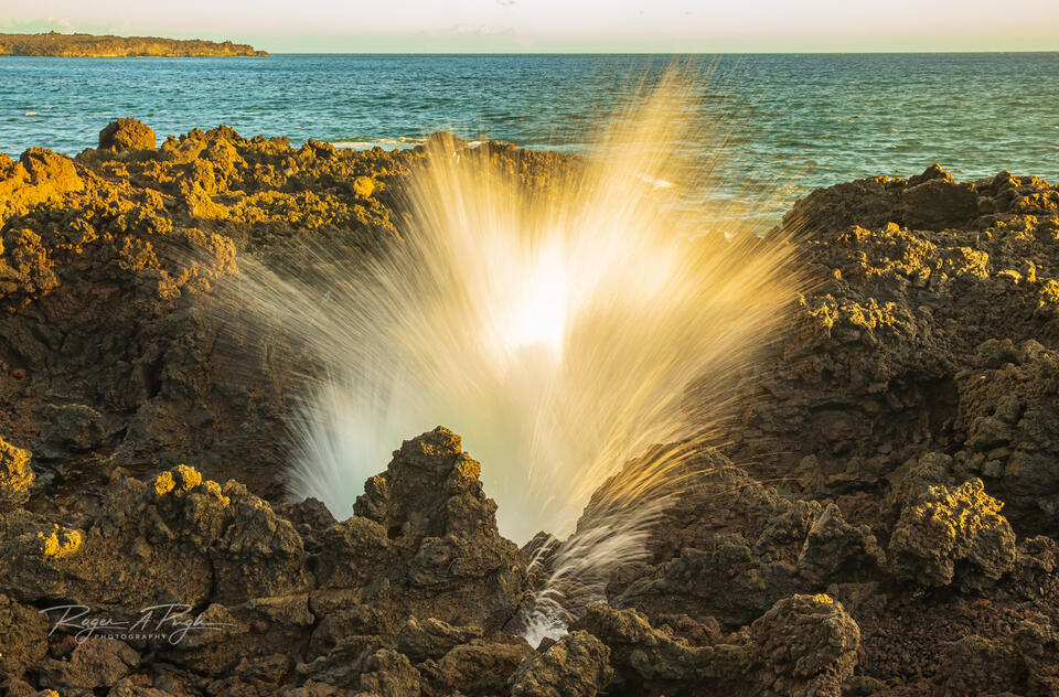 Blowhole print
