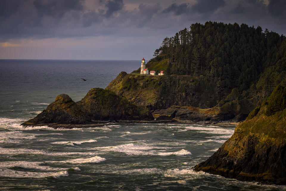 Heceta Head Light House print