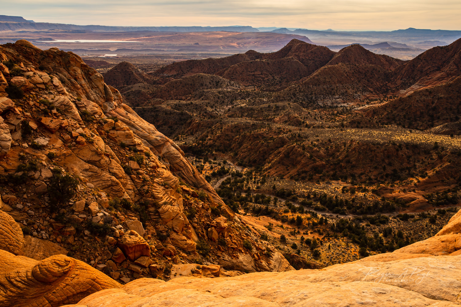 Such a fun place to roam. The colors, the lines, and all the different markings in the terrain makes for a different look in...