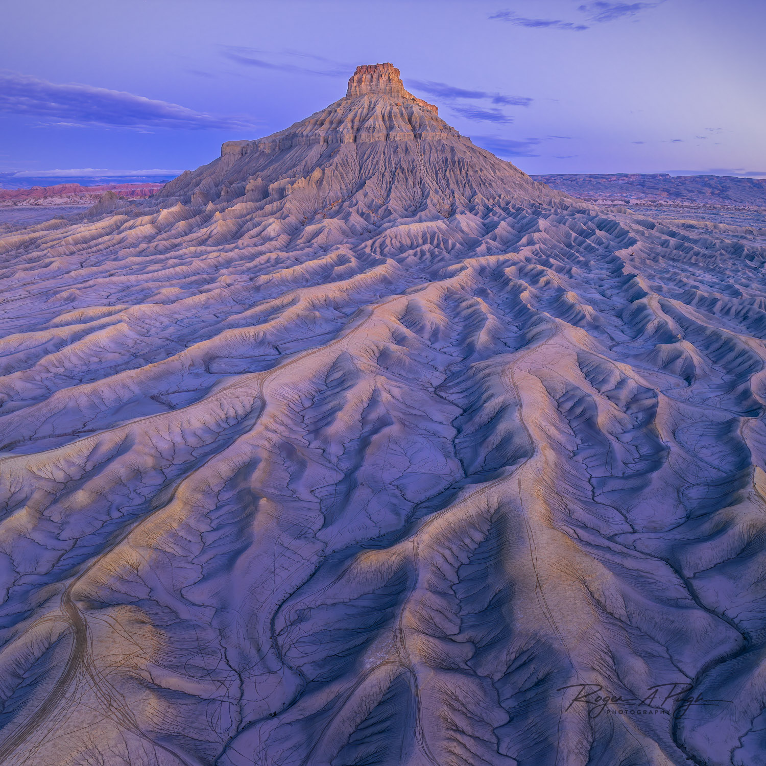 Veins of Factory Butte